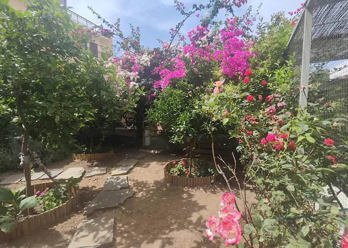 Το Μικρό Σπίτι Στον Κήπο