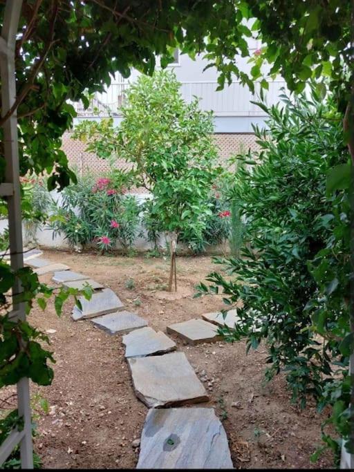 το μικρό σπίτι στον κήπο Apartment Karystos (Evia)