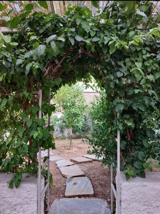 το μικρό σπίτι στον κήπο * Karystos (Evia)