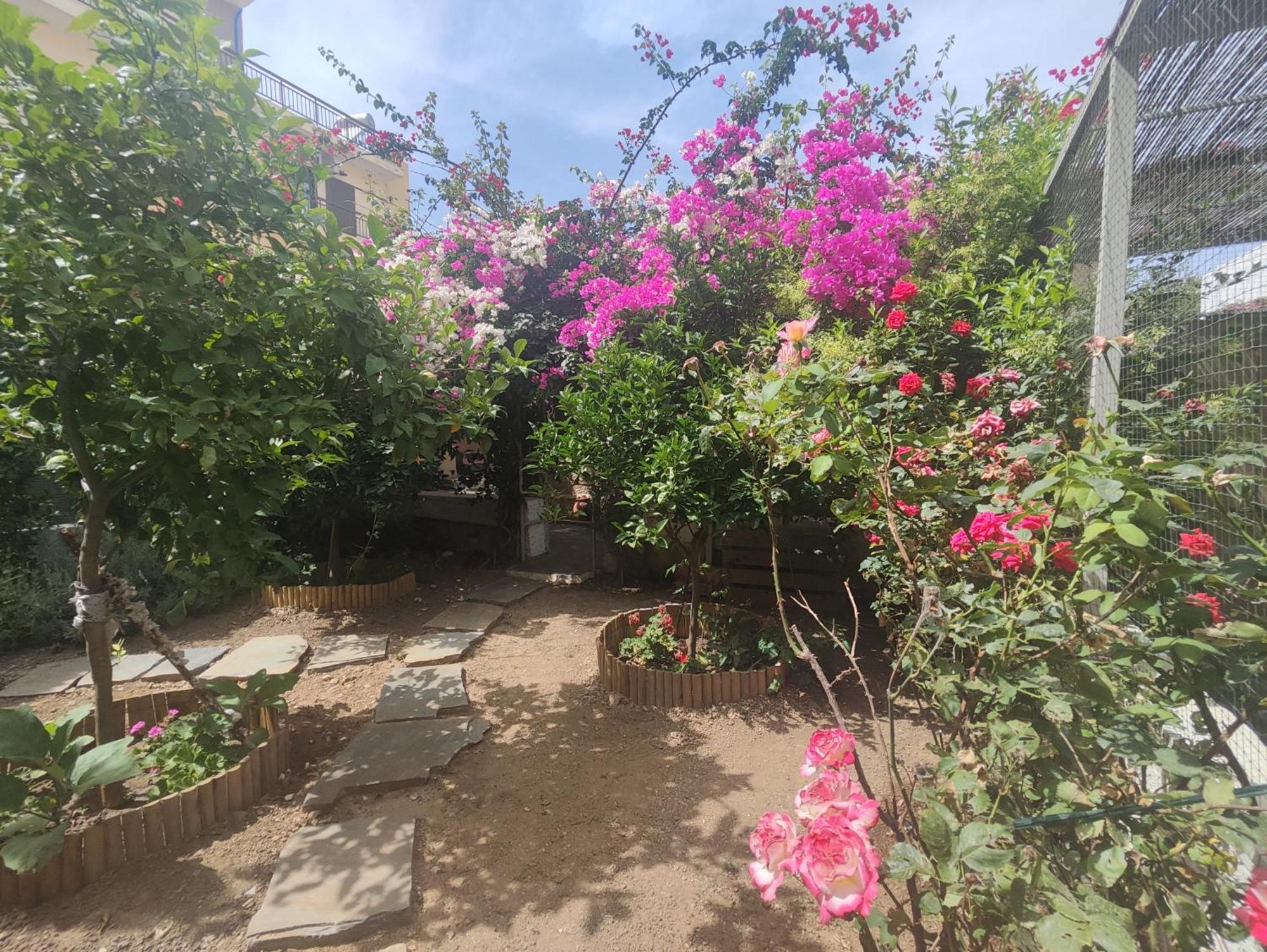 το μικρό σπίτι στον κήπο Apartment *